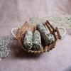 Natural Home Cleanser Dried Sage Sticks